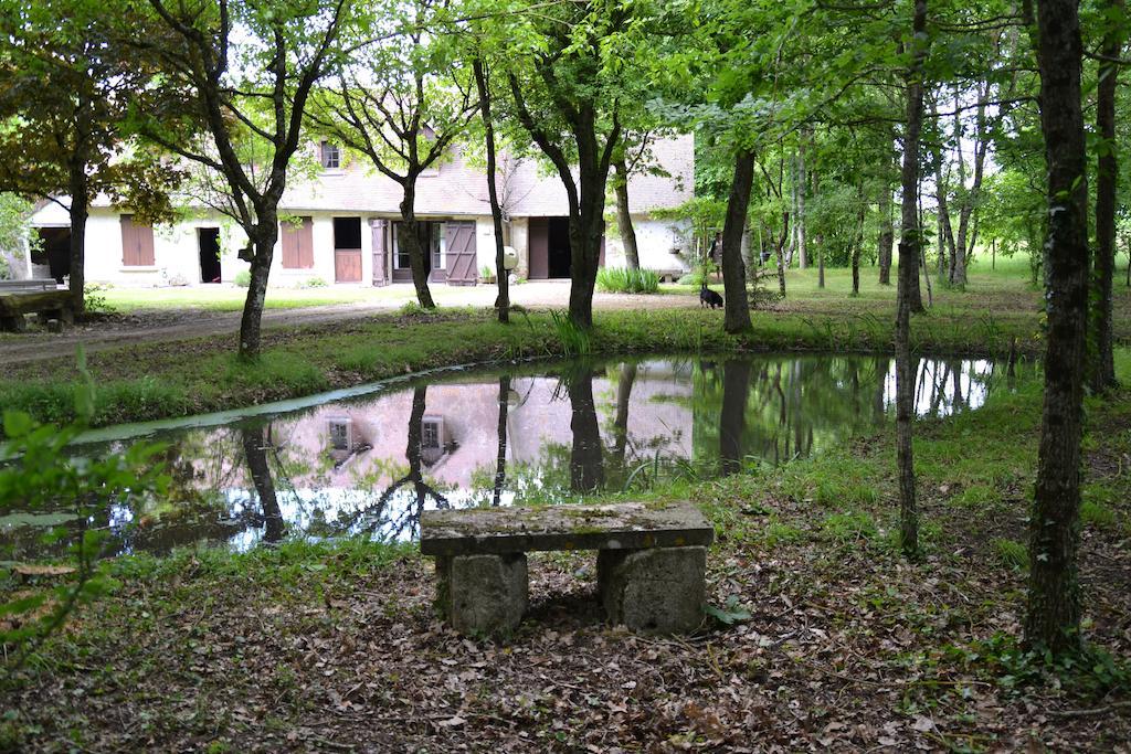 Gite De La Ronceraie Chaumont-sur-Loire Buitenkant foto