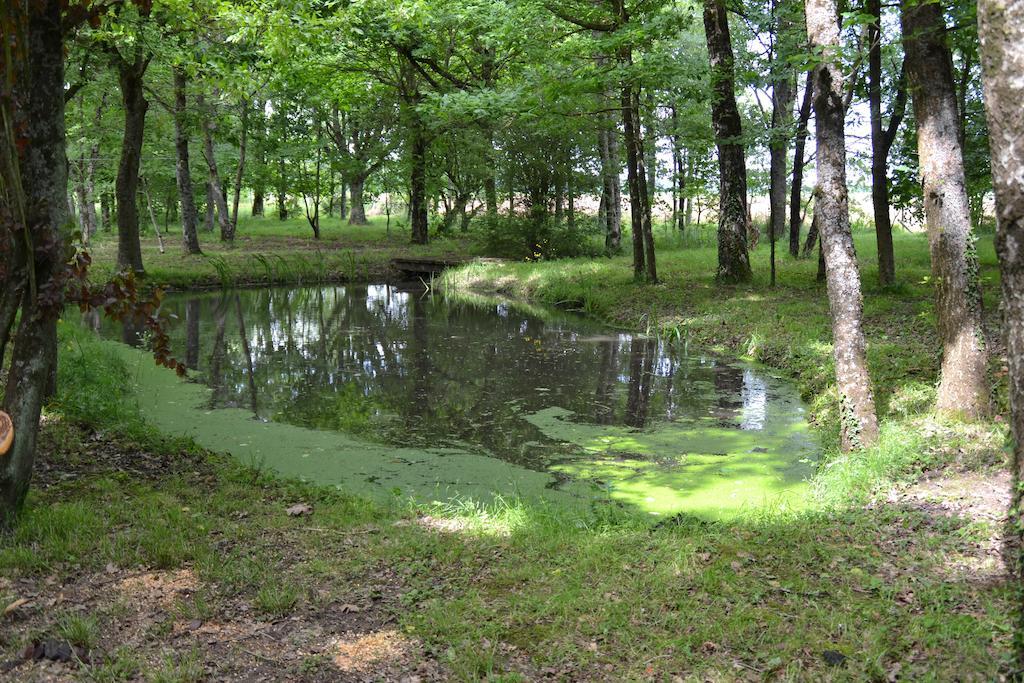 Gite De La Ronceraie Chaumont-sur-Loire Buitenkant foto